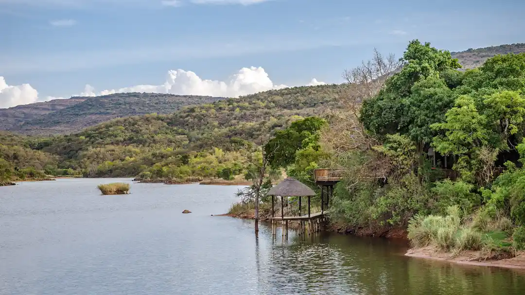 Entabeni-Kingfisher